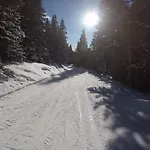 Jagdhütte *