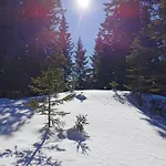 Chalet Jagdhütte
