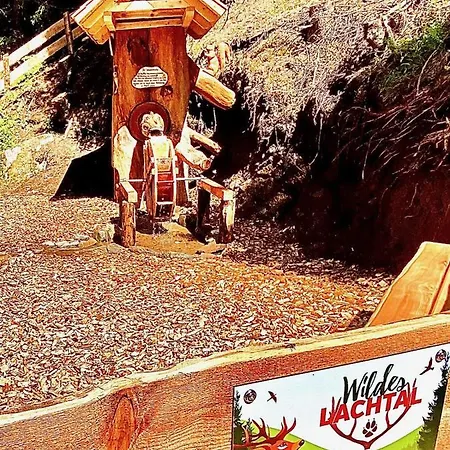 Jagdhuette Chalet Schönberg-Lachtal