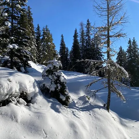 Jagdhuette Lachtal