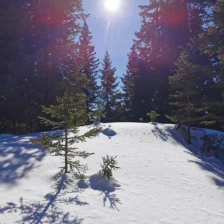 Alpesi faház Jagdhuette