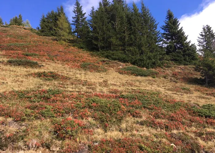 Jagdhuette Chalet Lachtal